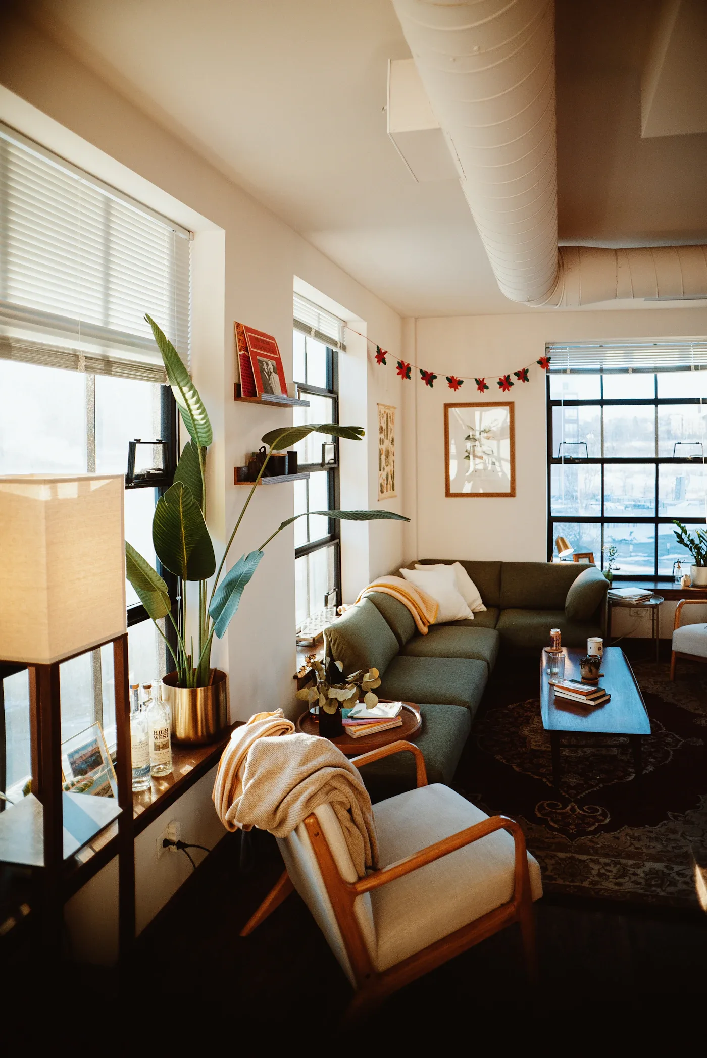 Green sofa and houseplants in a living room with large windows