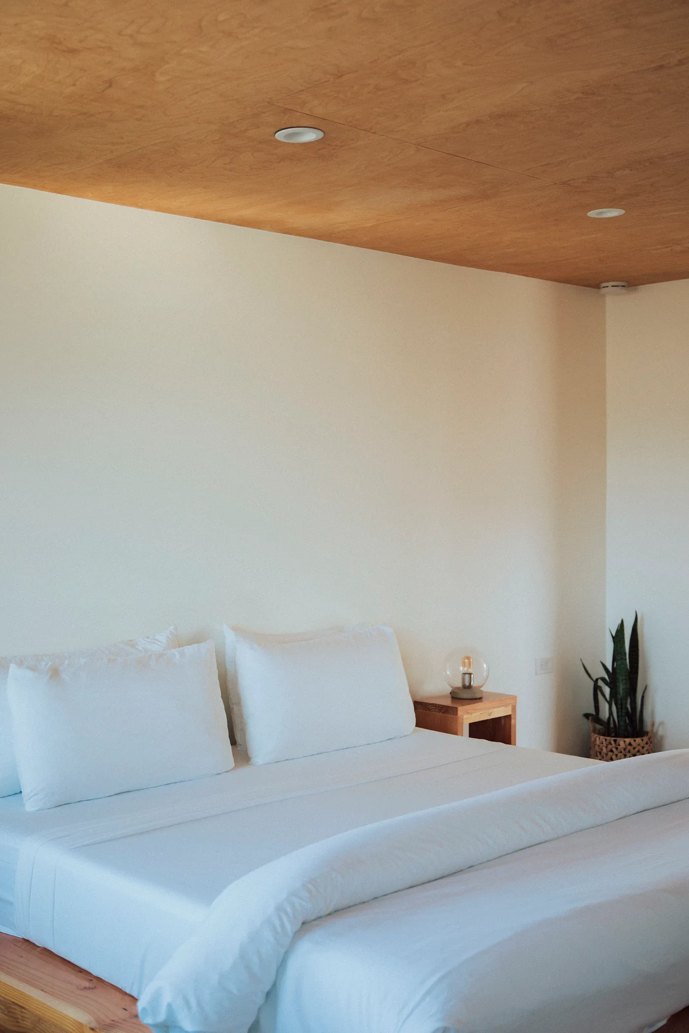 White bed with a wooden bedside table and a snake plant