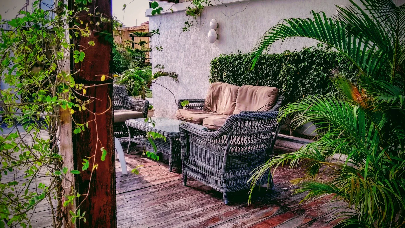 Woven patio armchairs surrounded by green plants